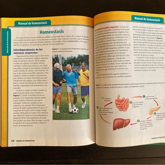 STEM Plan de estudios - Picture 13 of 16